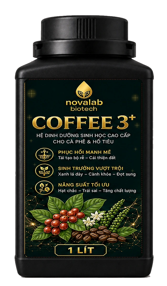 NOVALAB COFFEE 3+ · Mặt trước