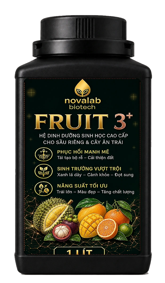 NOVALAB FRUIT 3+ · Mặt trước